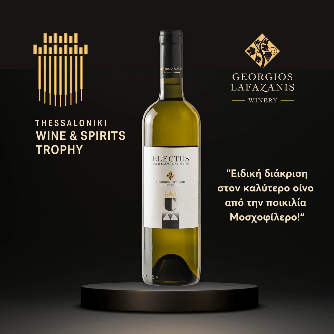 electus 2023 - award winner